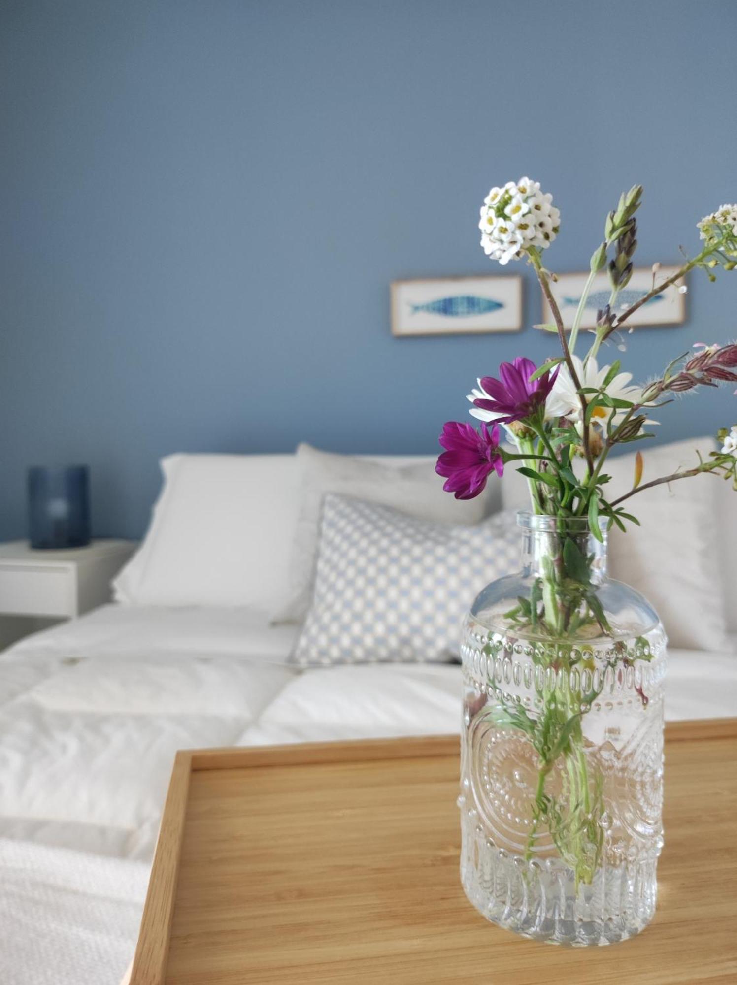Appartamenti Vacanze Villa Meo 维拉弗兰卡·蒂雷纳 外观 照片
